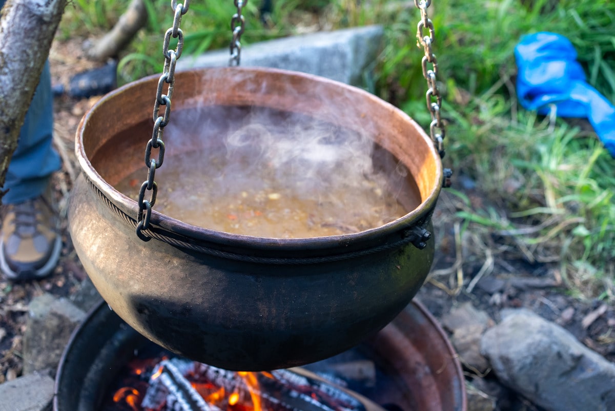 Beautiful vegan meal plating